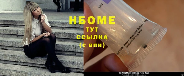 прущие грибы Горняк