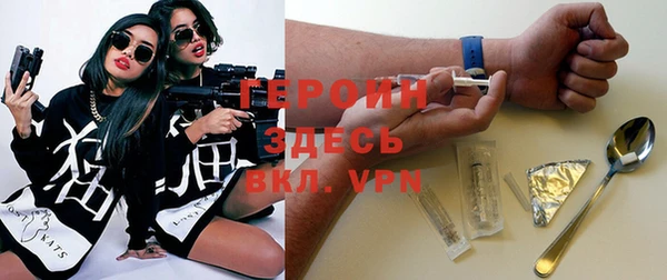 прущие грибы Горняк