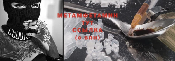 прущие грибы Горняк