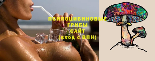 прущие грибы Горняк