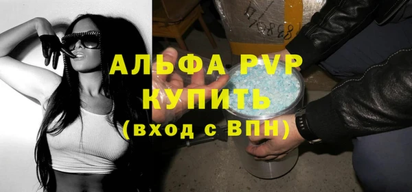 прущие грибы Горняк