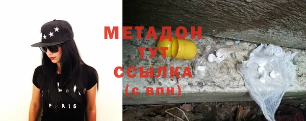прущие грибы Горняк