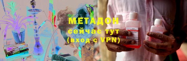 прущие грибы Горняк