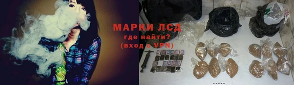 прущие грибы Горняк