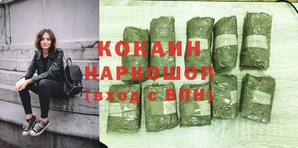 прущие грибы Горняк