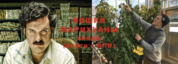 прущие грибы Горняк