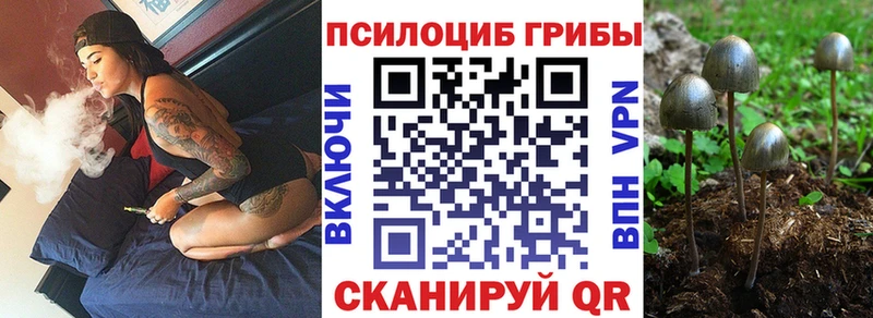 где купить наркотик  Комсомольск-на-Амуре  Псилоцибиновые грибы мухоморы 